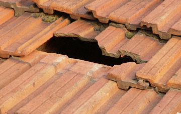 roof repair Ffawyddog, Powys